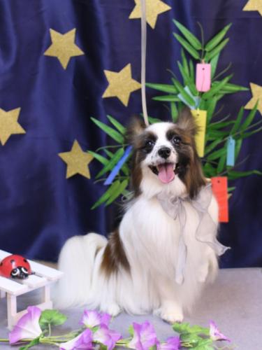 20230730マリーちゃん